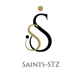 saint-steeze logo